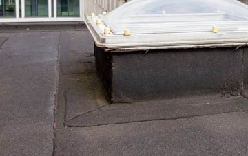 disadvantages of Hale End flat roofs
