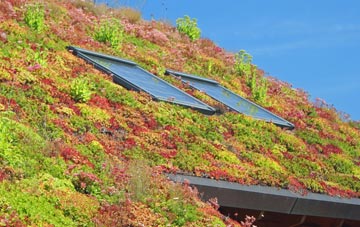 Hale End living roof systems