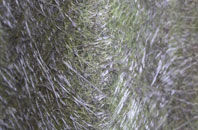 Hale End fibreglass roof work